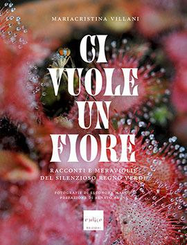 CI VUOLE UN FIORE