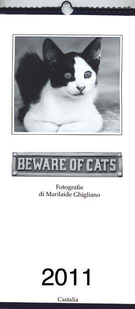 BEWARE OF CATS 2011