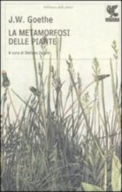 METAMORFOSI DELLE PIANTE