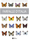 FARFALLE D ITALIA