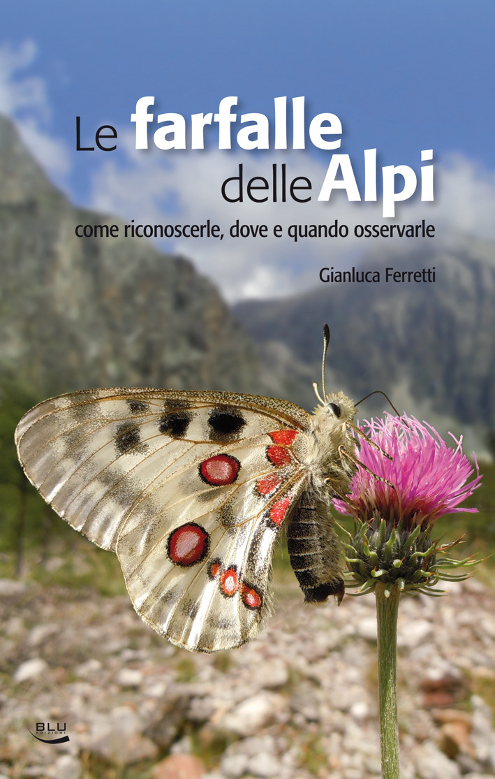 FARFALLE DELLE ALPI
