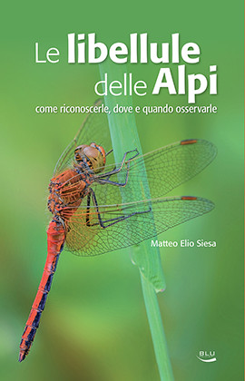 LE LIBELLULE DELLE ALPI