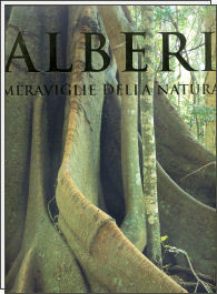 ALBERI MERAVIGLIE DELLA NATURA