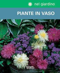 PIANTE IN VASO