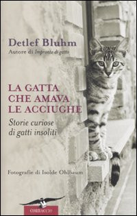 GATTA CHE AMAVA LE ACCIUGHE