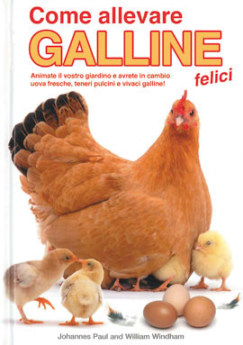 COME ALLEVARE GALLINE FELICI