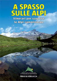 A SPASSO SULLE ALPI