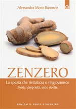 ZENZERO