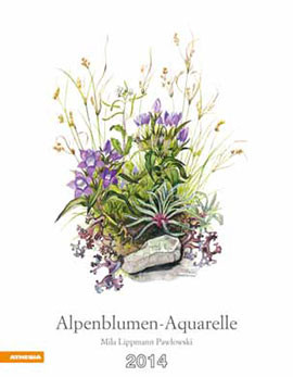 ALPENBLUMEN-ACQUARELLE 2014