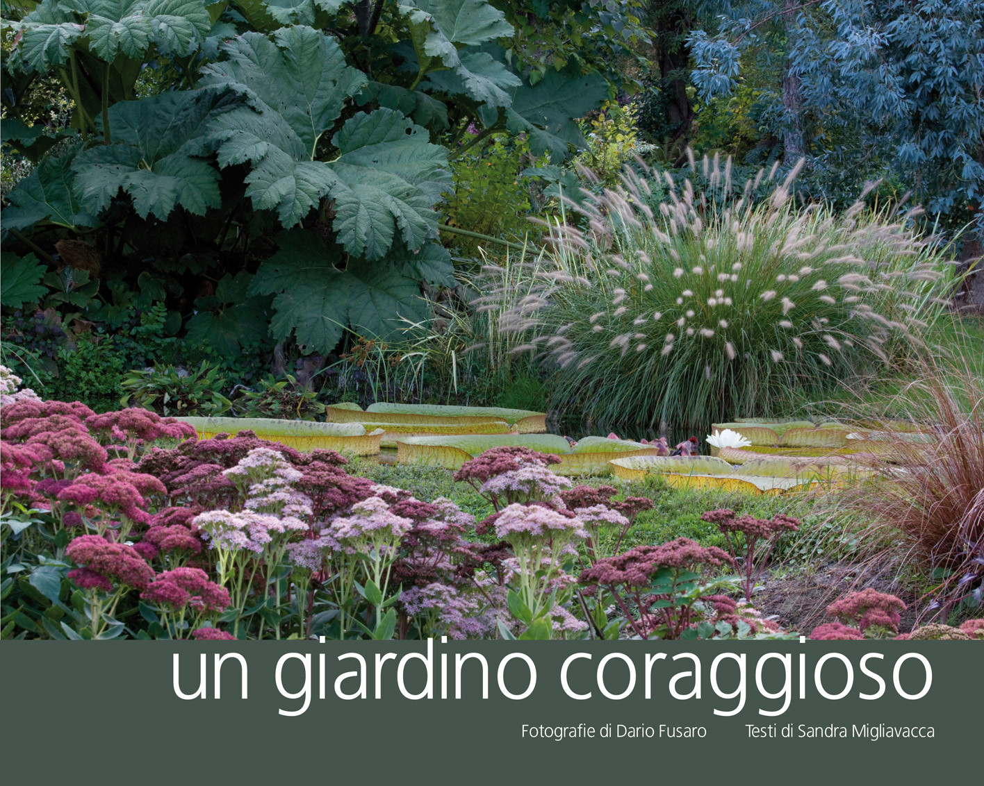 UN GIARDINO CORAGGIOSO