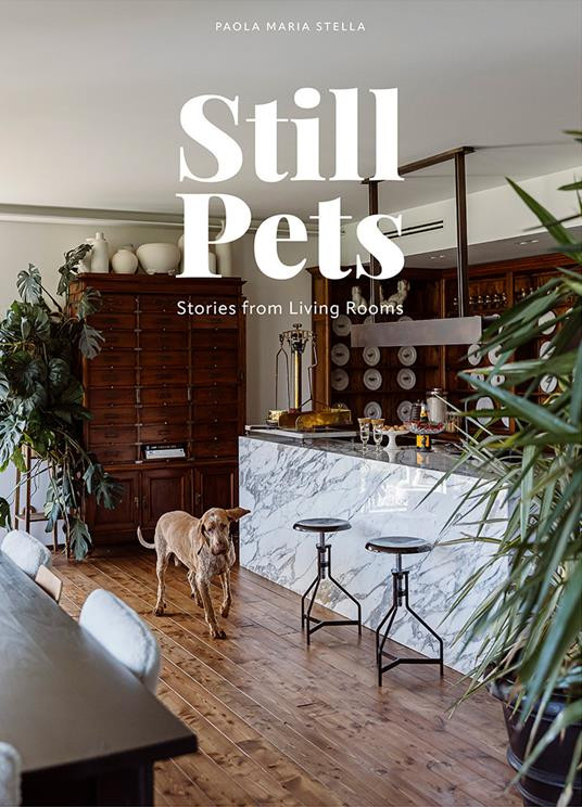 STILL PETS COVER DOGS