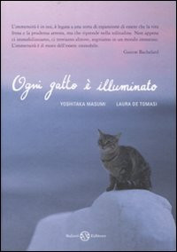 OGNI GATTO E  ILLUMINATO