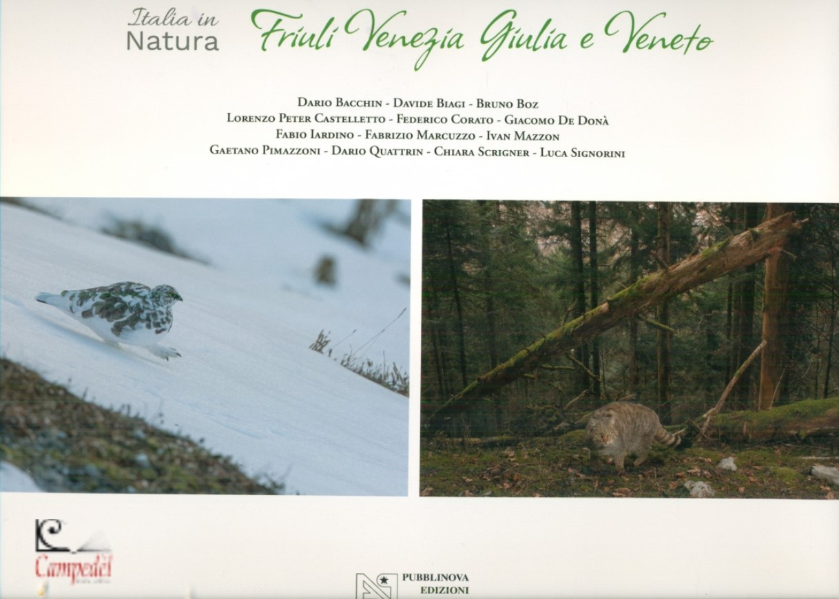 FRIULI VENEZIA GIULIA E VENETO