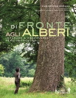 DI FRONTE AGLI ALBERI