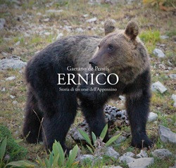 ERNICO