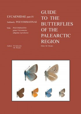 GUIDE TO THE BUTTERFLIES OF THE PALEARCTIC REGION LYCAENIDAE PART 4