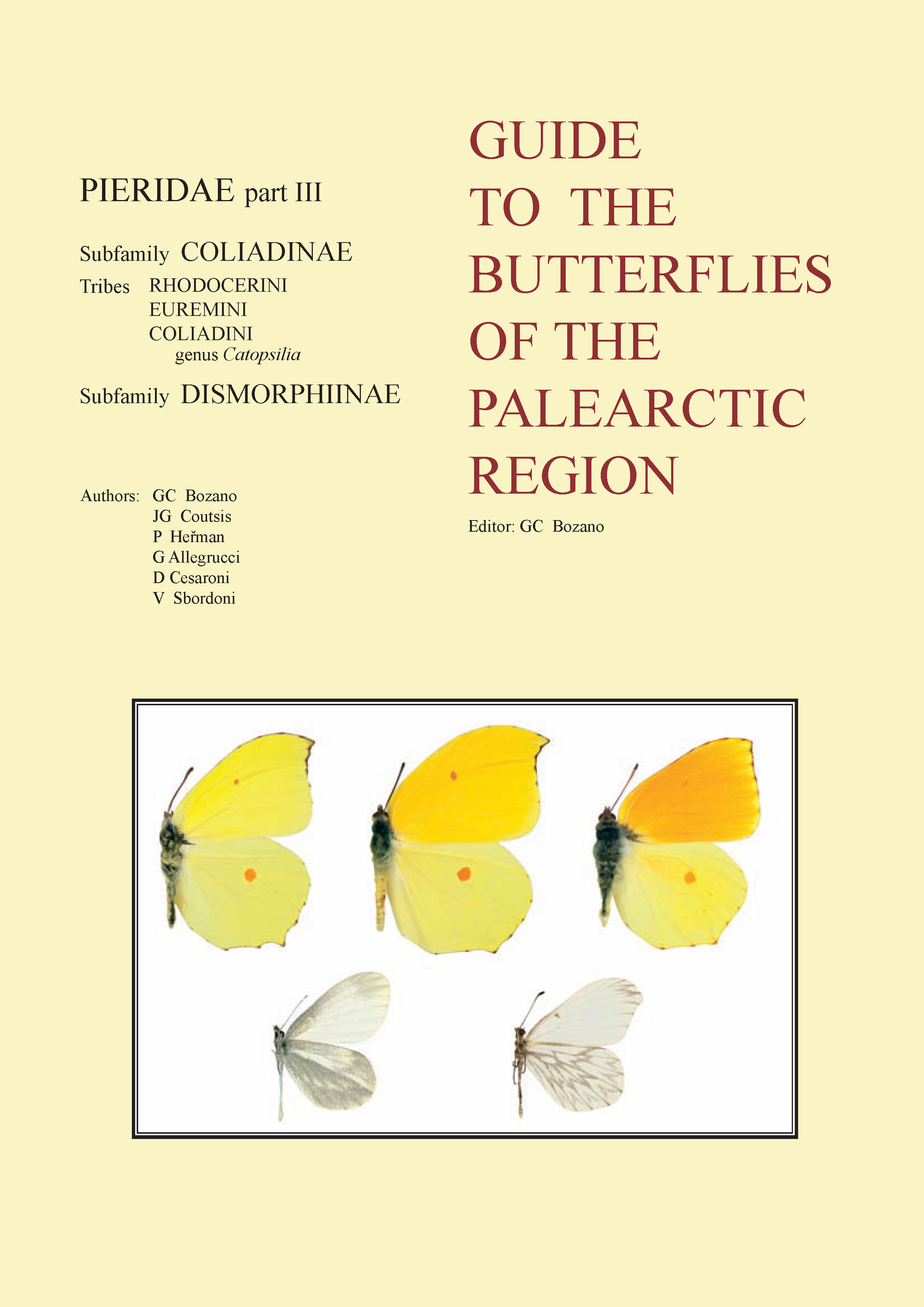 GUIDE TO THE BUTTERFLIES OF THE PALEARCTIC REGION COLIADINAE