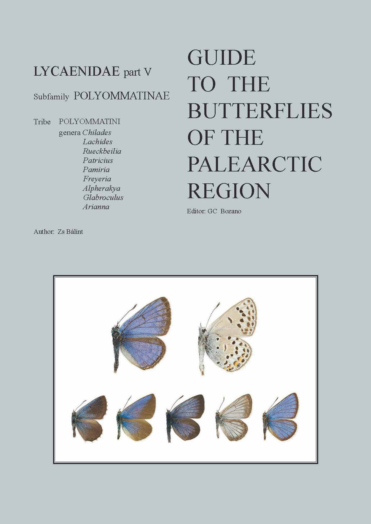 GUIDE TO THE BUTTERFLIES OF THE PALEARCTIC REGION LYCAENIDAE PART V