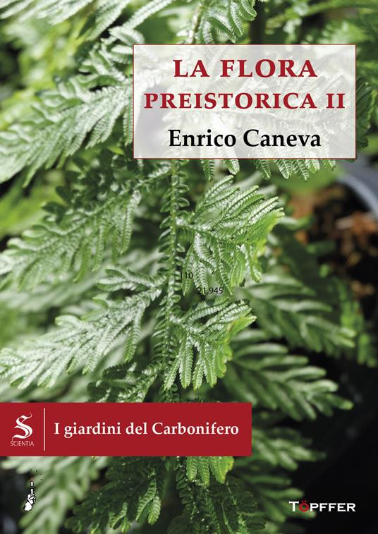 LA FLORA PREISTORICA II