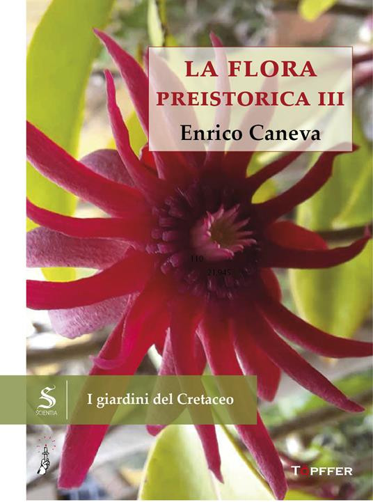 LA FLORA PREISTORICA III