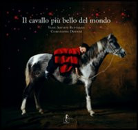 CAVALLO PIÙ BELLO DEL MONDO