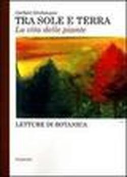 TRA SOLE E TERRA
