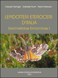 LEPIDOTTERI ETEROCERI D ITALIA