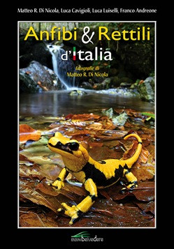 ANFIBI E RETTILI D ITALIA