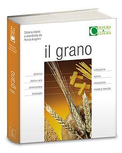 IL GRANO