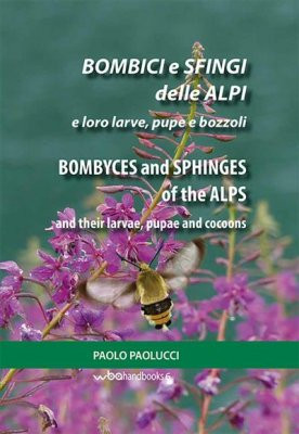 BOMBICI E SFINGI DELLE ALPI BOMBYCES AND SPHINGES OF THE ALPS