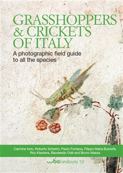 GRASSHOPPERS & CRICKETS OF ITALY