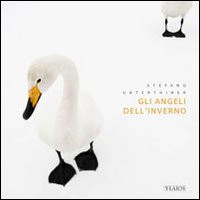GLI ANGELI DELL INVERNO