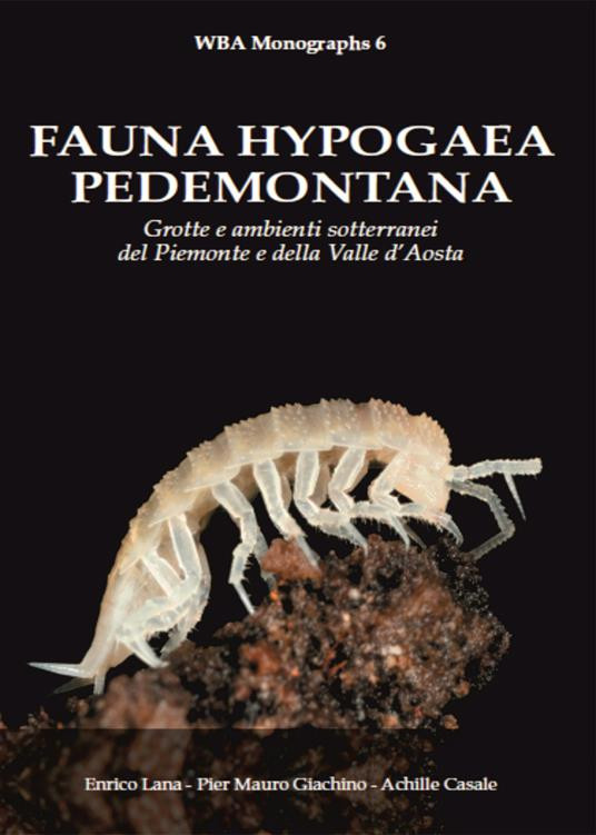 FAUNA HYPOGAEA PEDEMONTANA