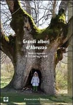 GRANDI ALBERI D ABRUZZO