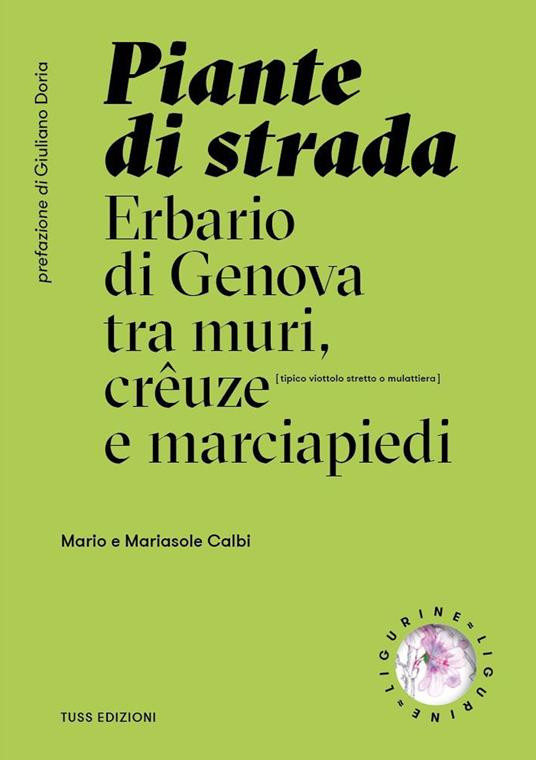 PIANTE DI STRADA