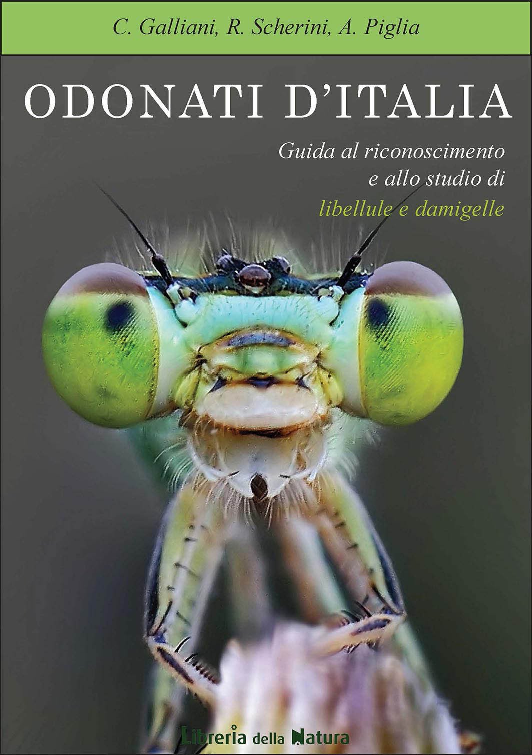 ODONATI D ITALIA