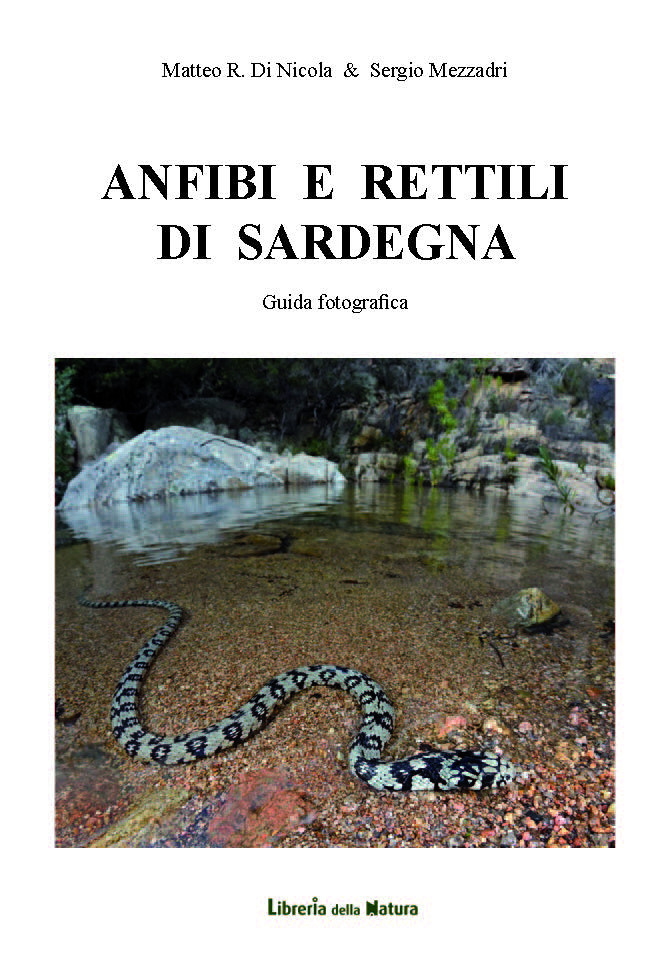 ANFIBI E RETTILI DI SARDEGNA