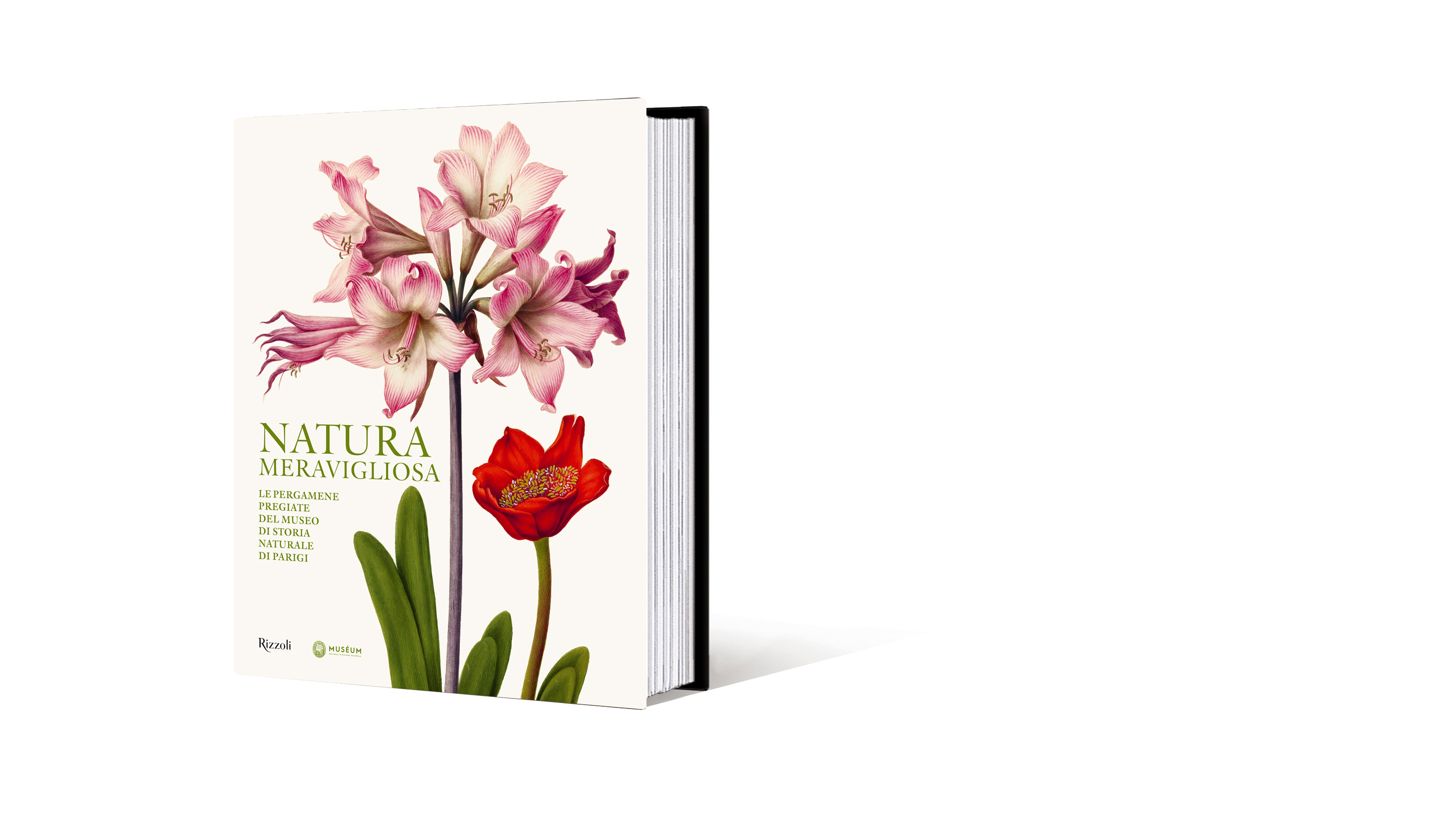 NATURA MERAVIGLIOSA