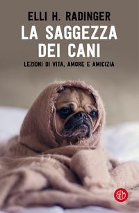 LA SAGGEZZA DEI CANI