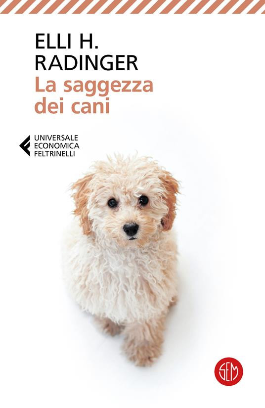 LA SAGGEZZA DEI CANI