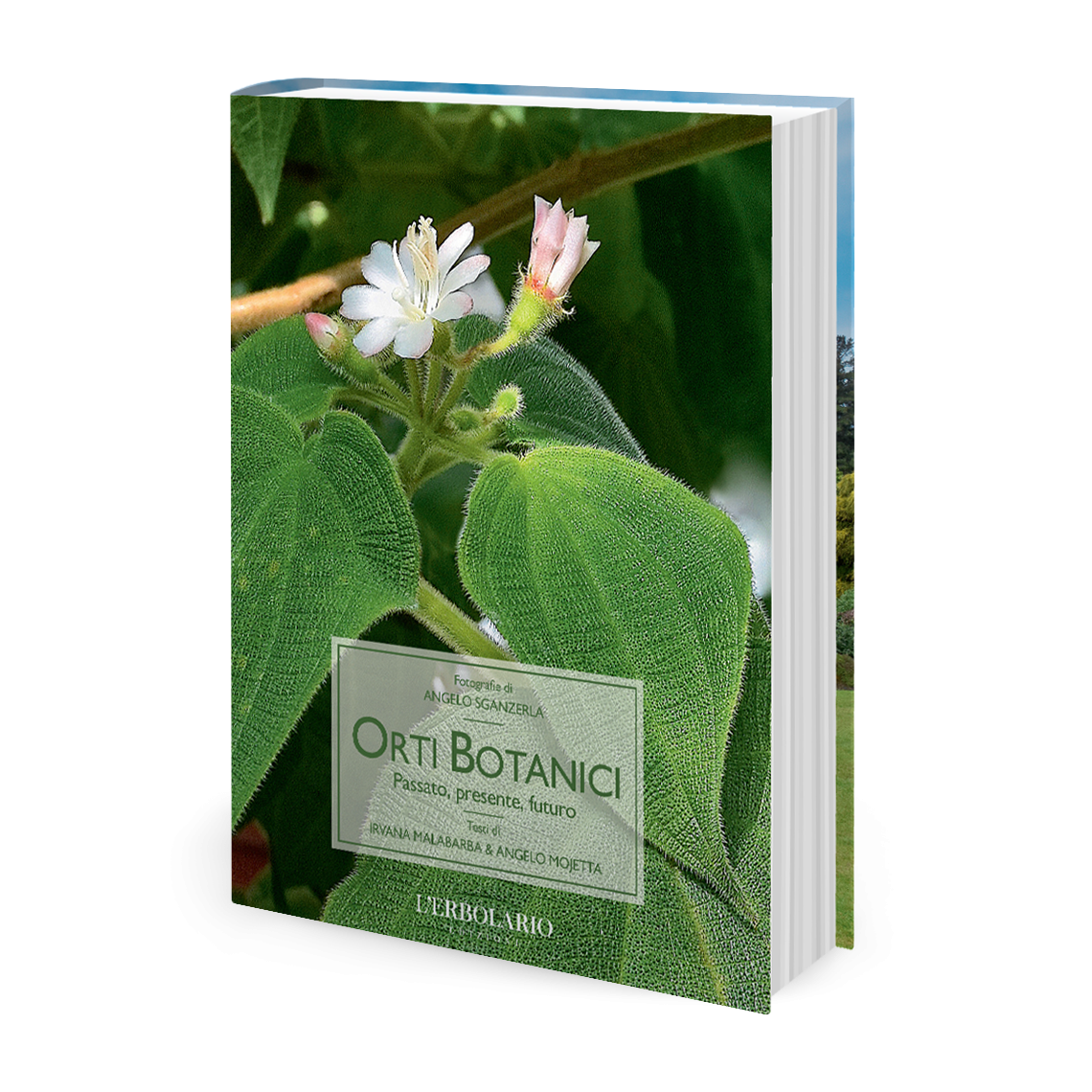ORTI BOTANICI