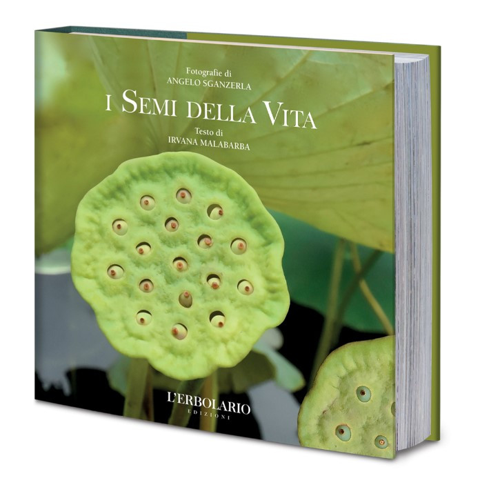 I SEMI DELLA VITA