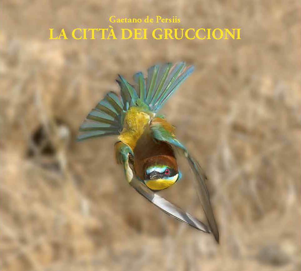 LA CITTA DEI GRUCCIONI