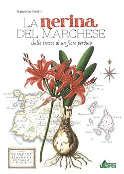 LA NERINA DEL MARCHESE