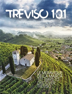 TREVISO 101