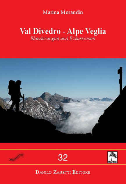 VAL DIVEDRO ALPE VEGLIA