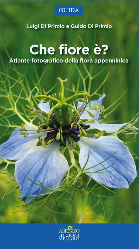 CHE FIORE E