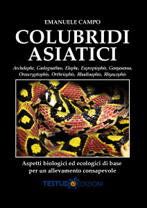 COLUBRIDI ASIATICI