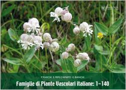 FAMIGLIE DI PIANTE VASCOLARI ITALIANE 1 - 140
