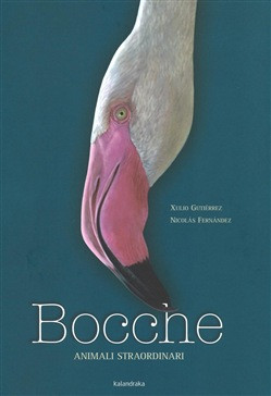 BOCCHE